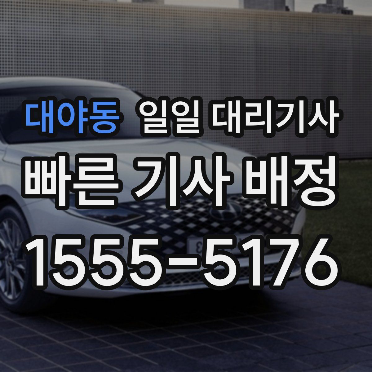 대야동 일일 대리기사