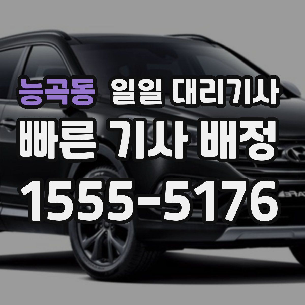 능곡동 일일 대리기사
