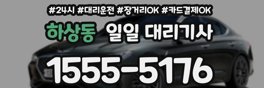 하상동 일일 대리기사