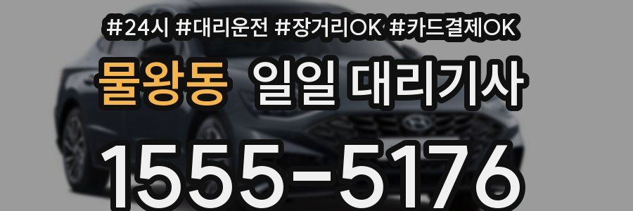 물왕동 일일 대리기사