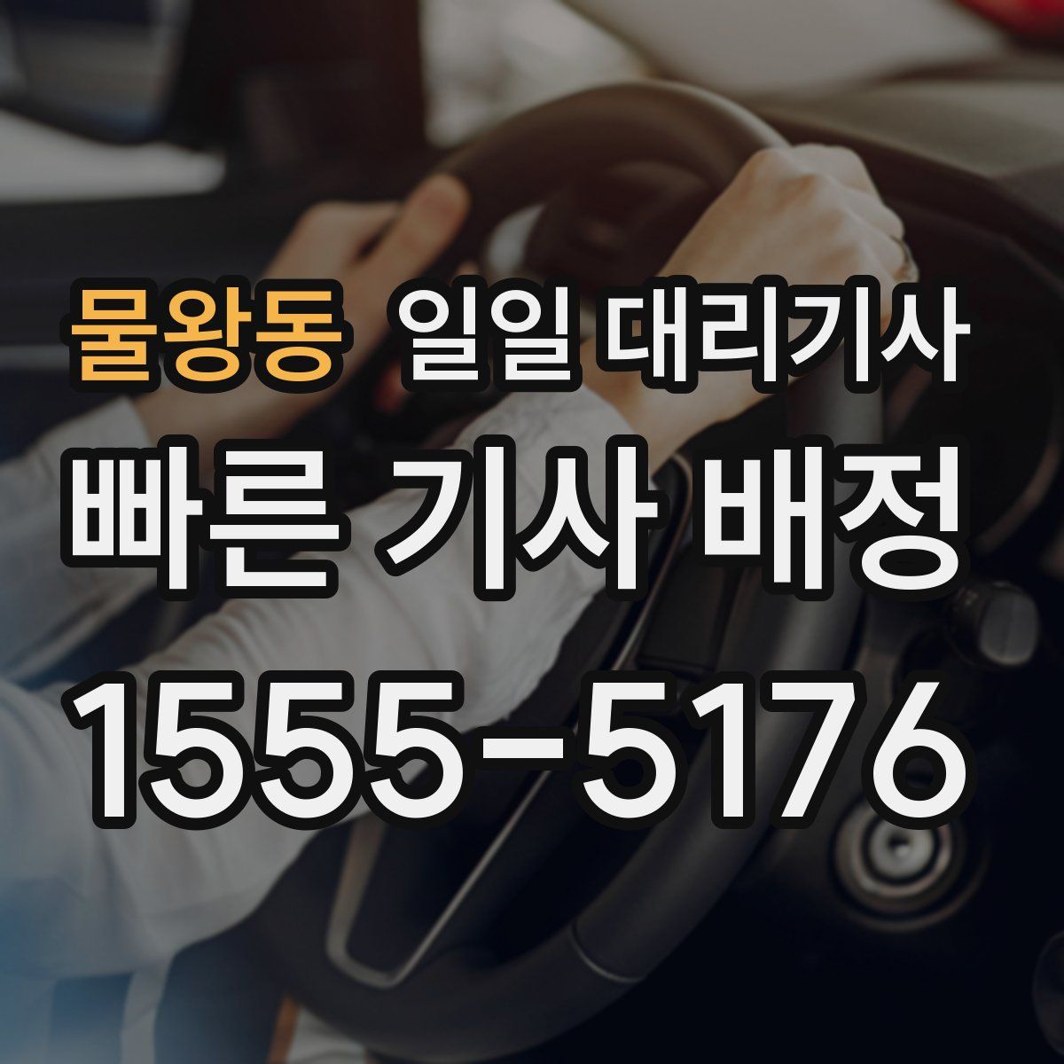 물왕동 일일 대리기사