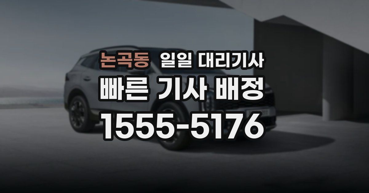 논곡동 일일 대리기사