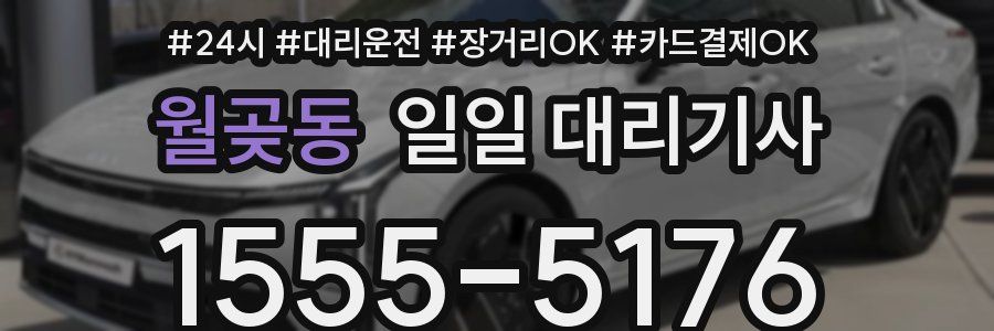 월곶동 일일 대리기사