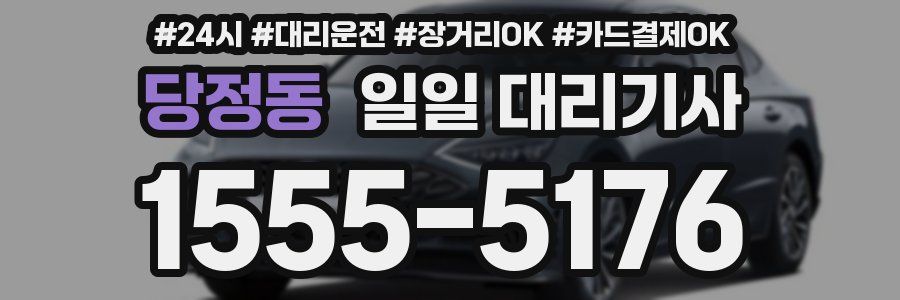 당정동 일일 대리기사