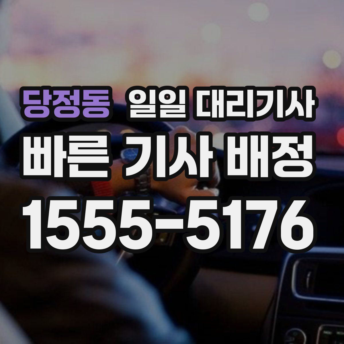 당정동 일일 대리기사