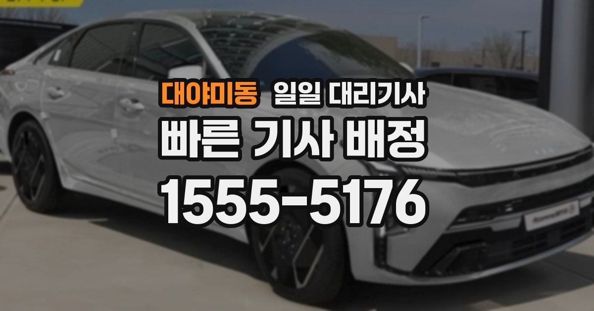 대야미동 일일 대리기사