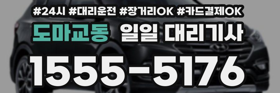 도마교동 일일 대리기사