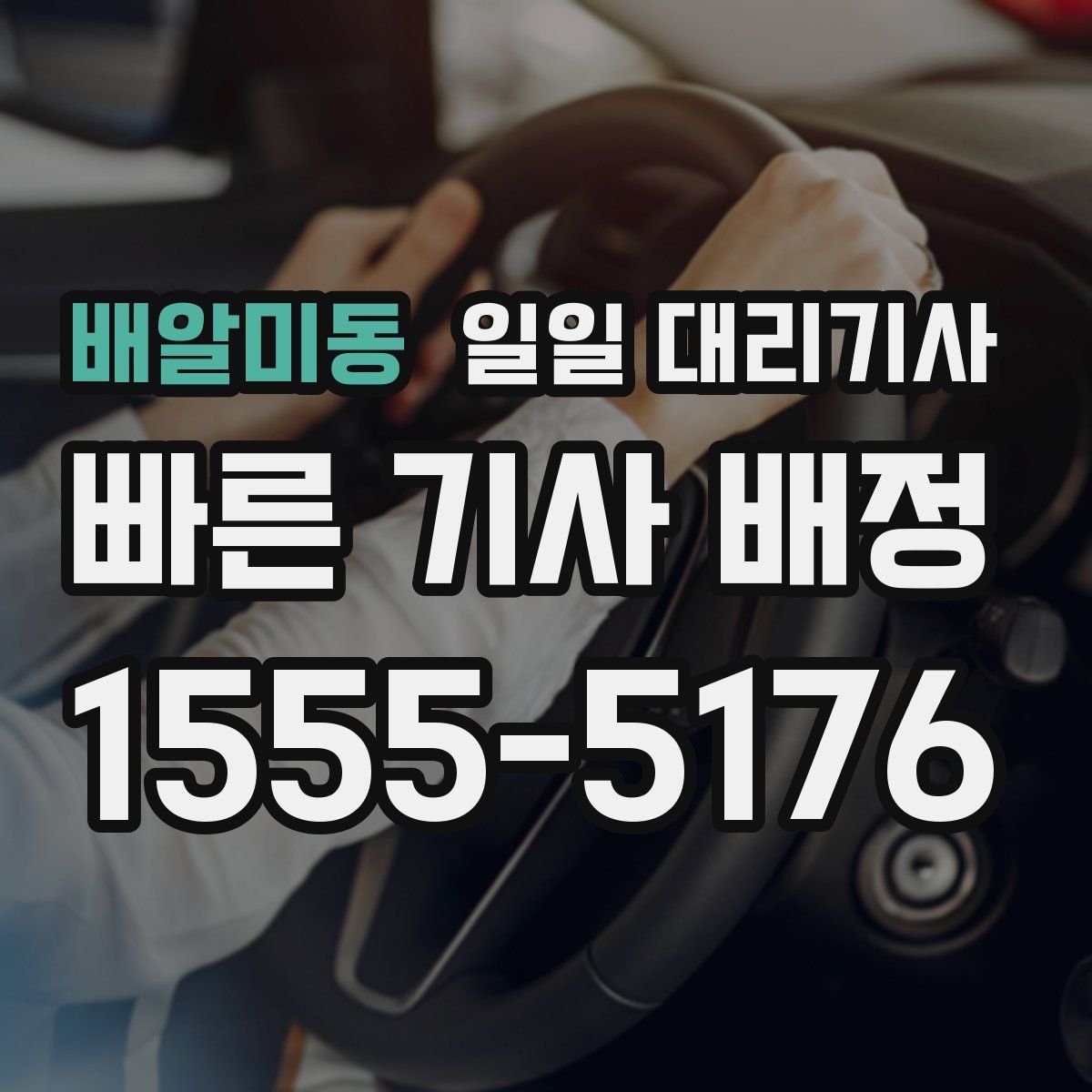 배알미동 일일 대리기사