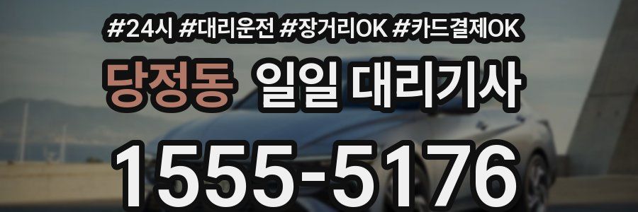 당정동 일일 대리기사