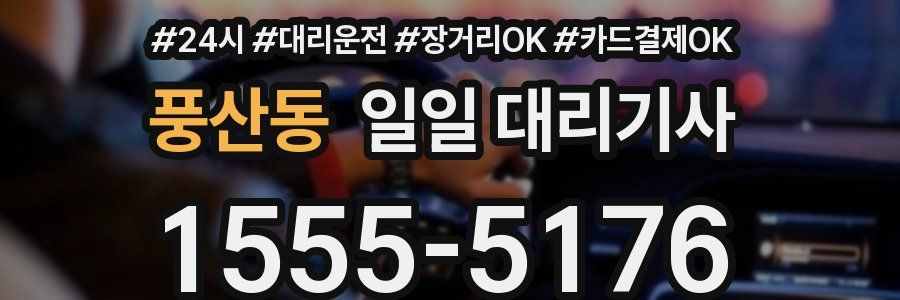 풍산동 일일 대리기사