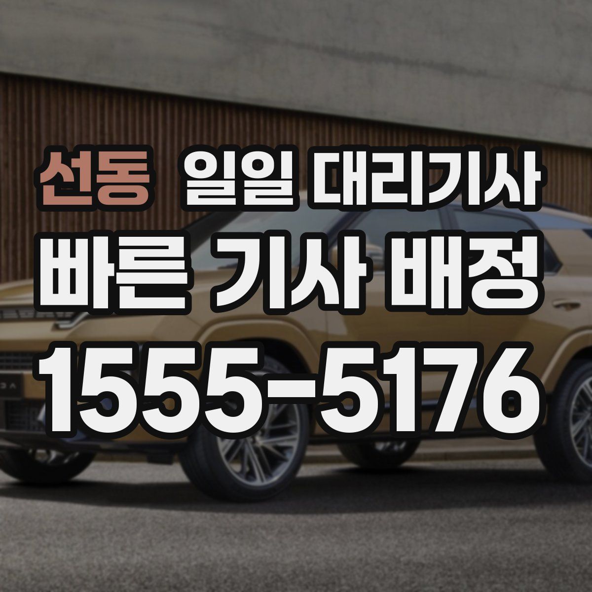 선동 일일 대리기사