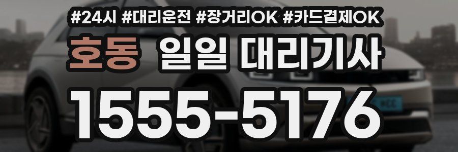호동 일일 대리기사