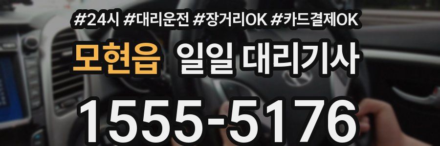 모현읍 일일 대리기사