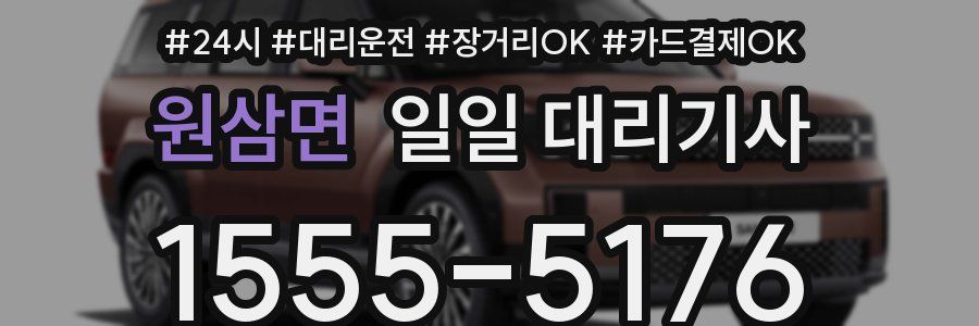 원삼면 일일 대리기사