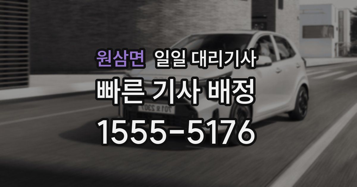 원삼면 일일 대리기사