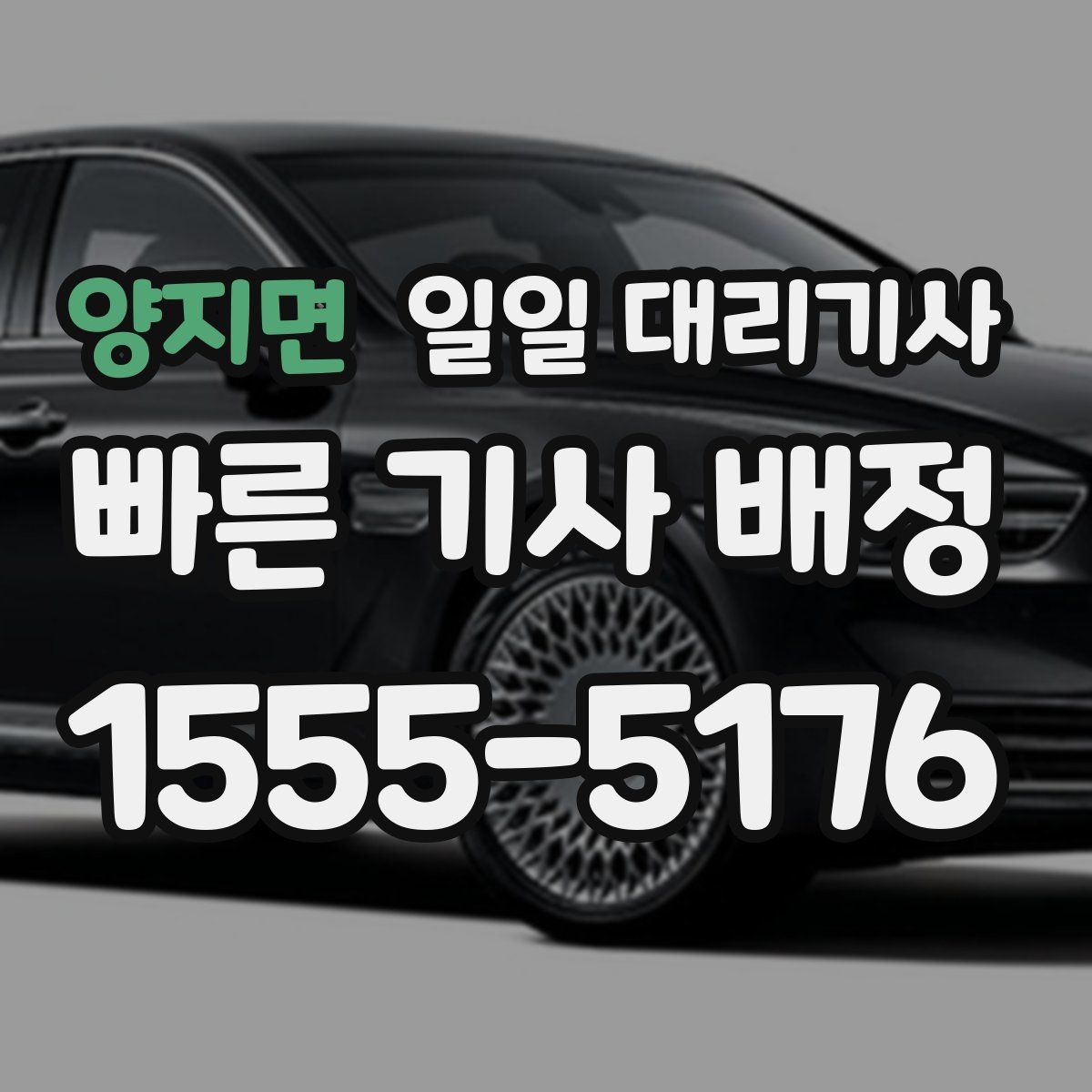 양지면 일일 대리기사