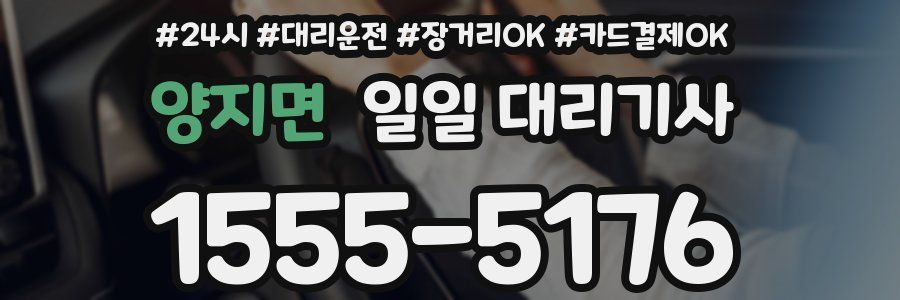 양지면 일일 대리기사