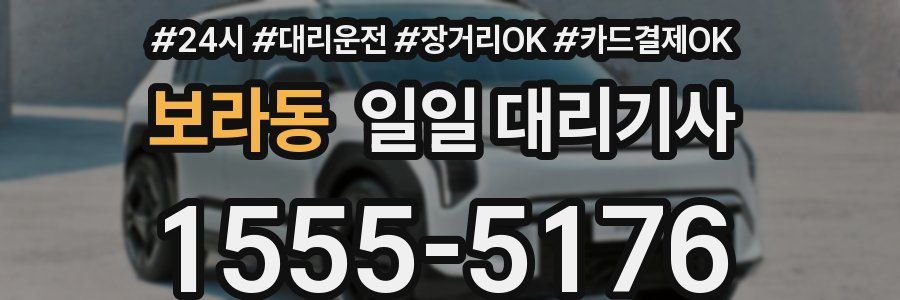 보라동 일일 대리기사