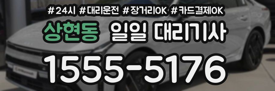 상현동 일일 대리기사