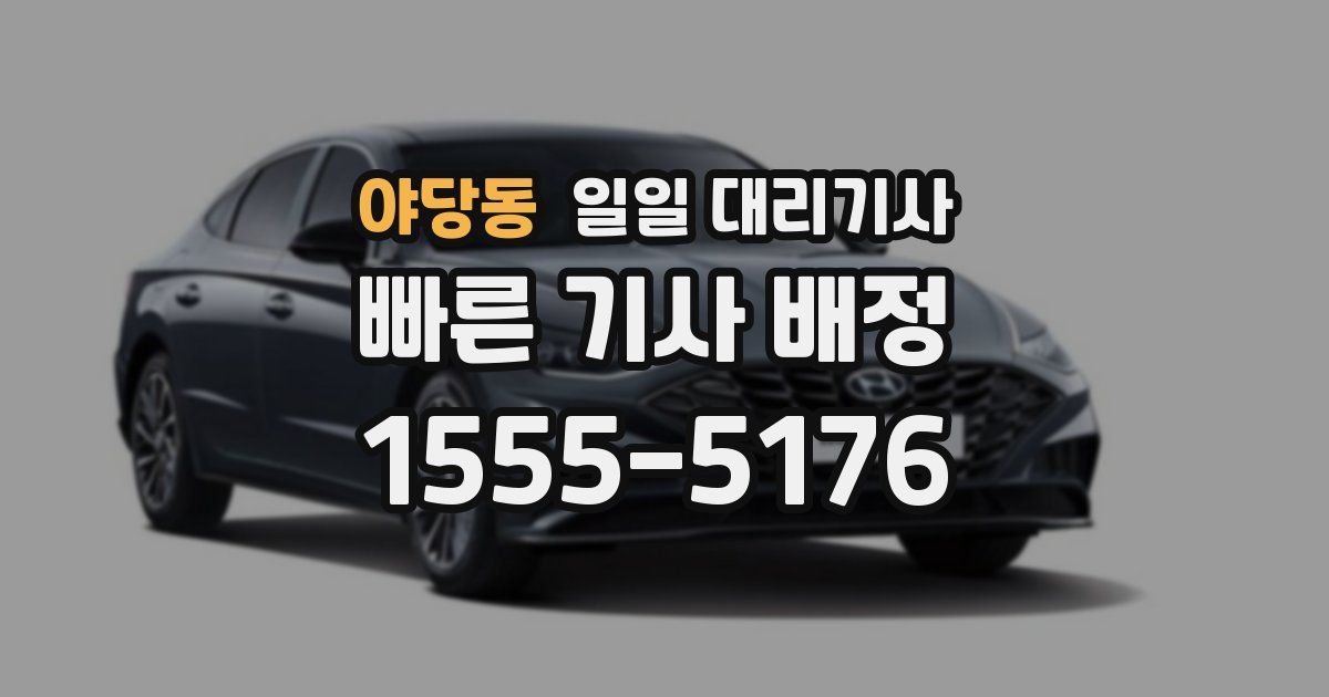 야당동 일일 대리기사