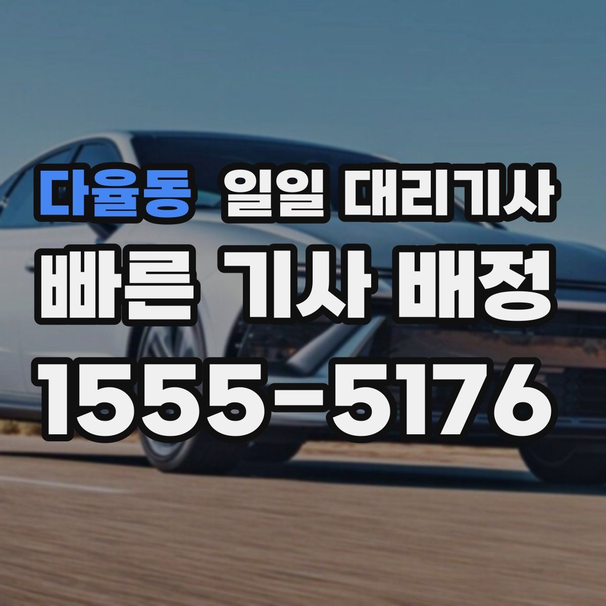 다율동 일일 대리기사