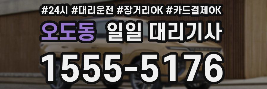 오도동 일일 대리기사
