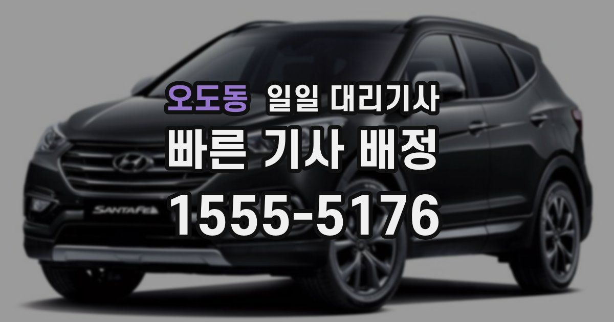 오도동 일일 대리기사