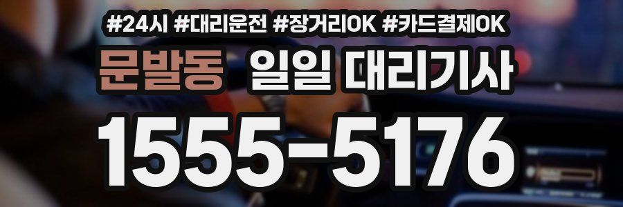 문발동 일일 대리기사