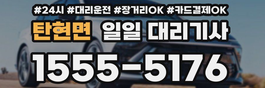 탄현면 일일 대리기사