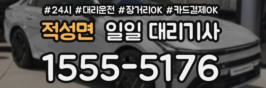 적성면 일일 대리기사