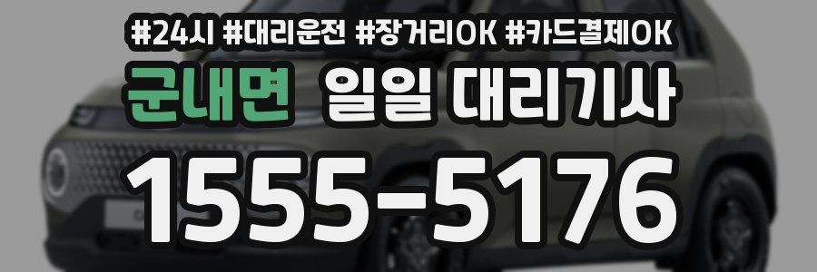 군내면 일일 대리기사