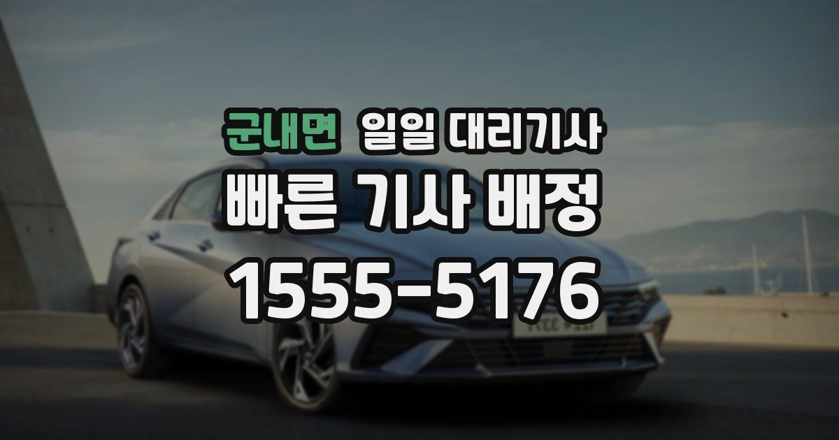 군내면 일일 대리기사