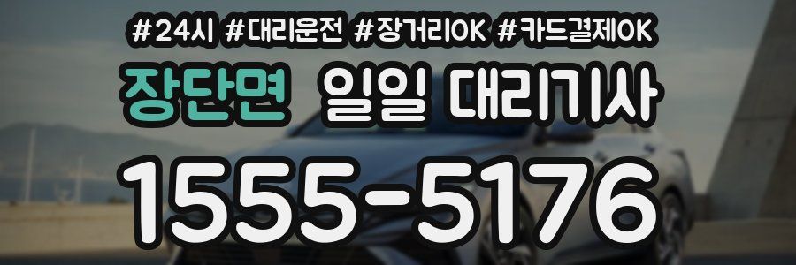 장단면 일일 대리기사