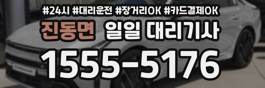 진동면 일일 대리기사