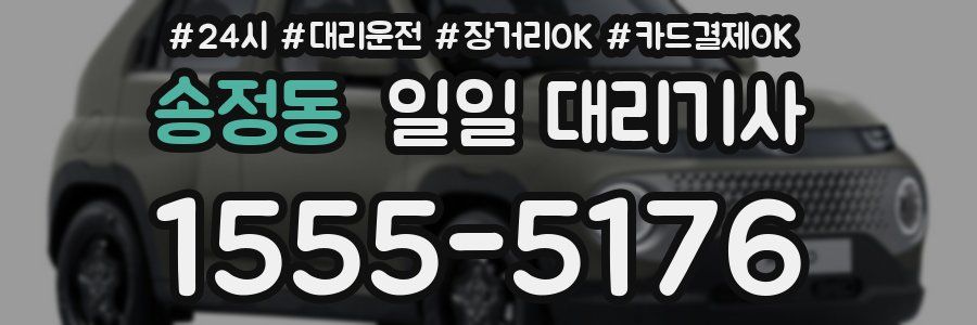 송정동 일일 대리기사