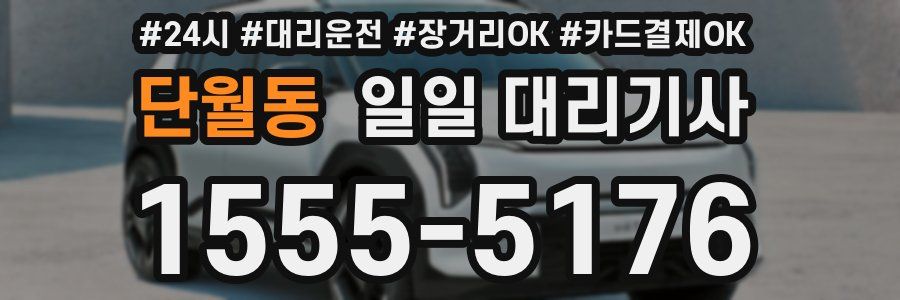 단월동 일일 대리기사