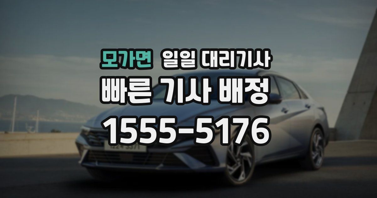 모가면 일일 대리기사