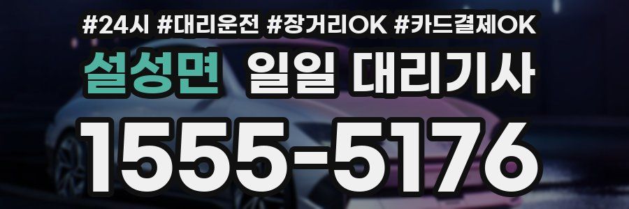 설성면 일일 대리기사