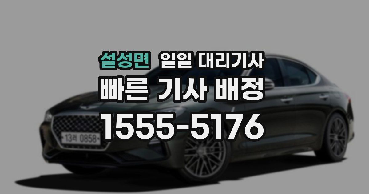 설성면 일일 대리기사