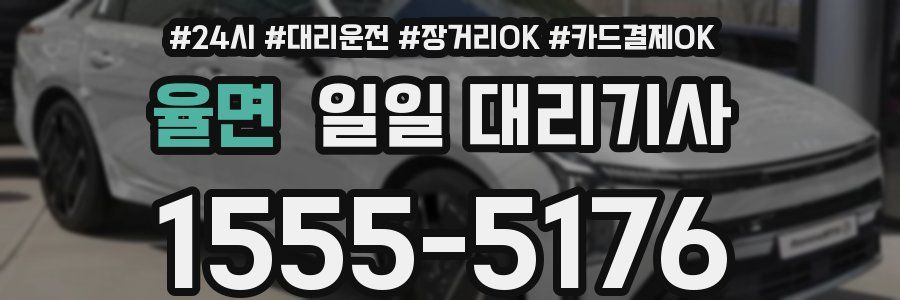 율면 일일 대리기사