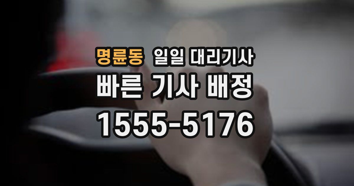 명륜동 일일 대리기사
