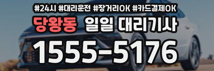 당왕동 일일 대리기사