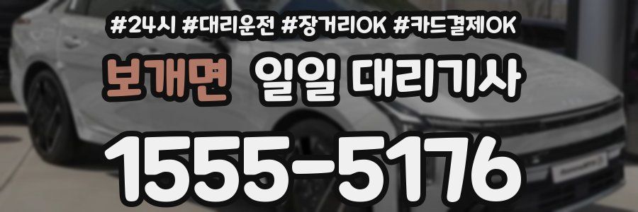 보개면 일일 대리기사