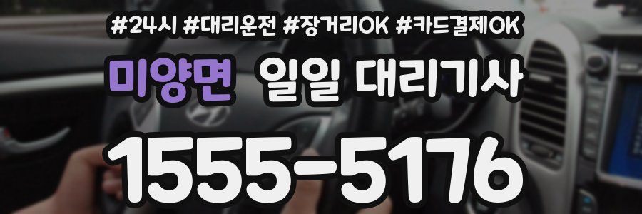 미양면 일일 대리기사