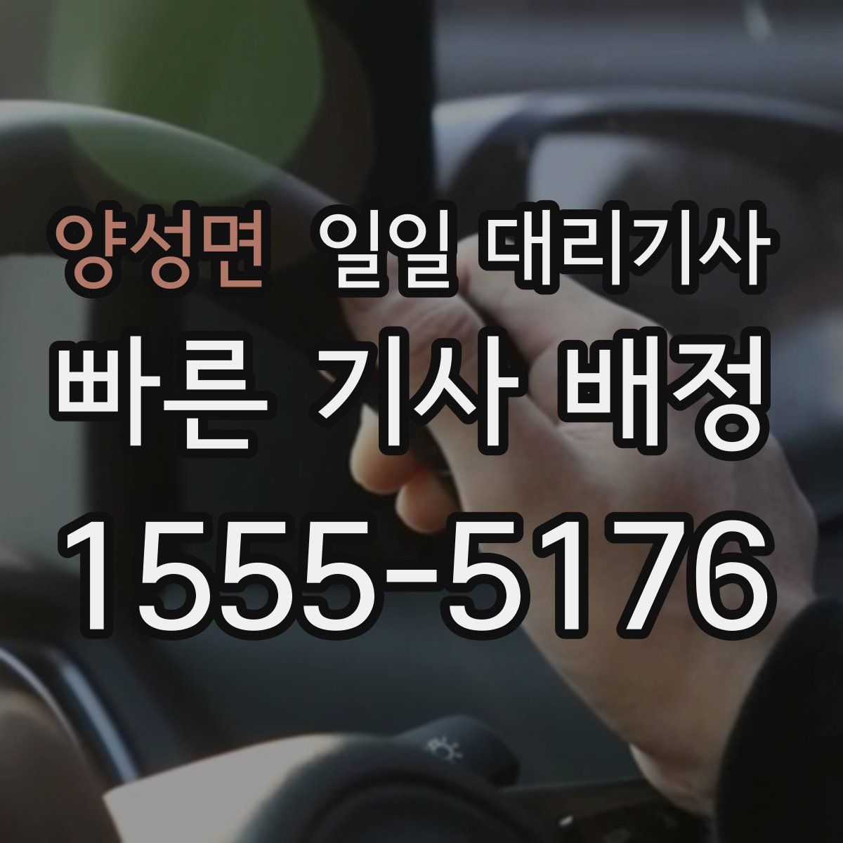 양성면 일일 대리기사