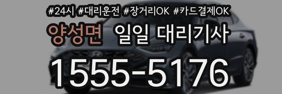 양성면 일일 대리기사