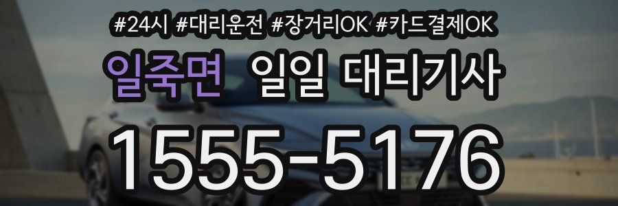 일죽면 일일 대리기사