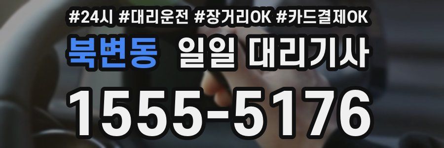 북변동 일일 대리기사