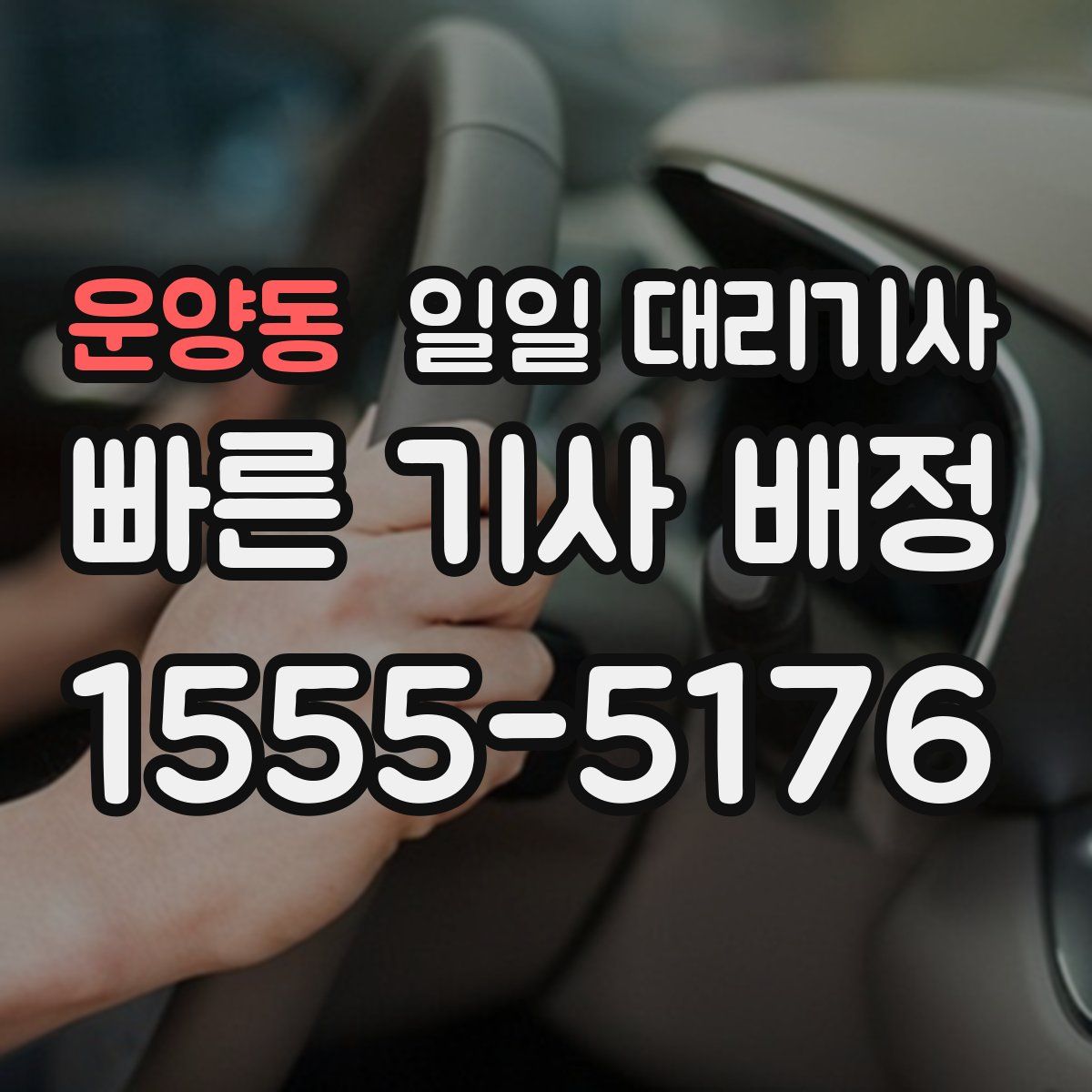 운양동 일일 대리기사