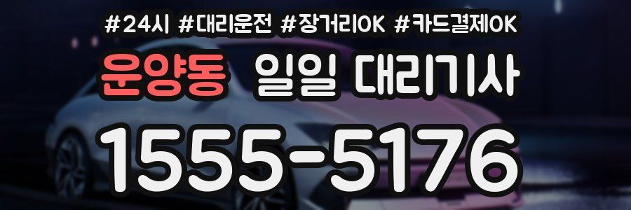운양동 일일 대리기사